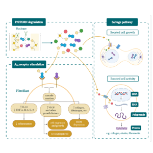 מהו טיפול מסטלי וכיצד הוא עובד