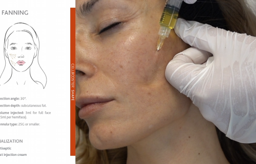 צילום מסך 2024-06-25 095701